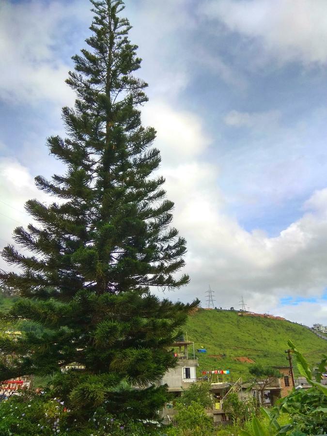 Latei Ville Inn شيلونغ المظهر الخارجي الصورة